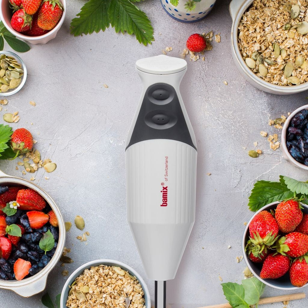 BAMIX GASTRO 200 STICK BLENDER 76150 LIGHT GREY SWISS MADE