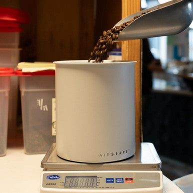 Airscape Kilo 8" Large Coffee Canister