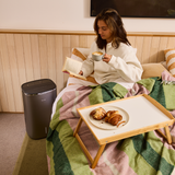 Breville All Climate 2 in 1 Dehumidifier and Purifier